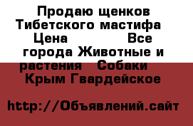 Продаю щенков Тибетского мастифа › Цена ­ 45 000 - Все города Животные и растения » Собаки   . Крым,Гвардейское